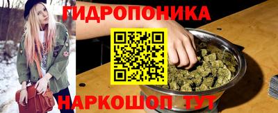 спиды Ливны