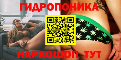 спиды Ливны