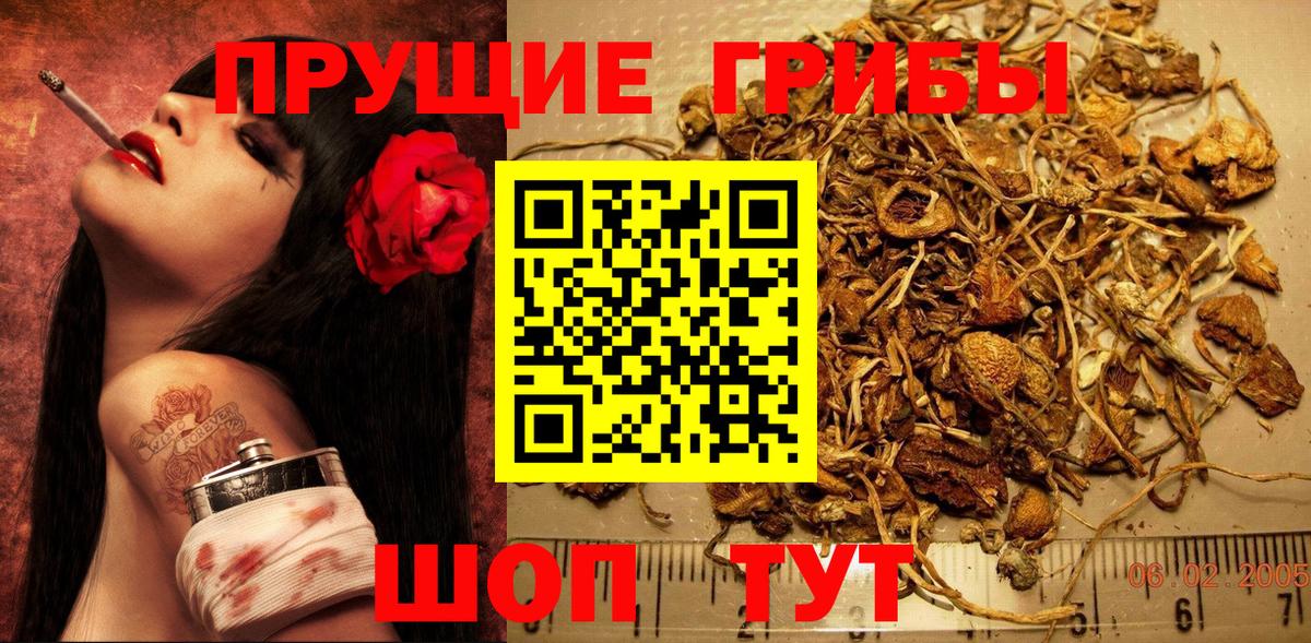 Галлюциногенные грибы MAGIC MUSHROOMS  Вход с VPN  Елизово 