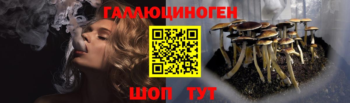 Псилоцибиновые грибы Magic Shrooms Елизово